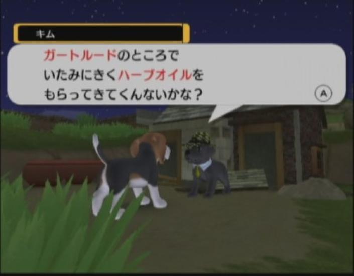 Hund und Zauberhut Wii -