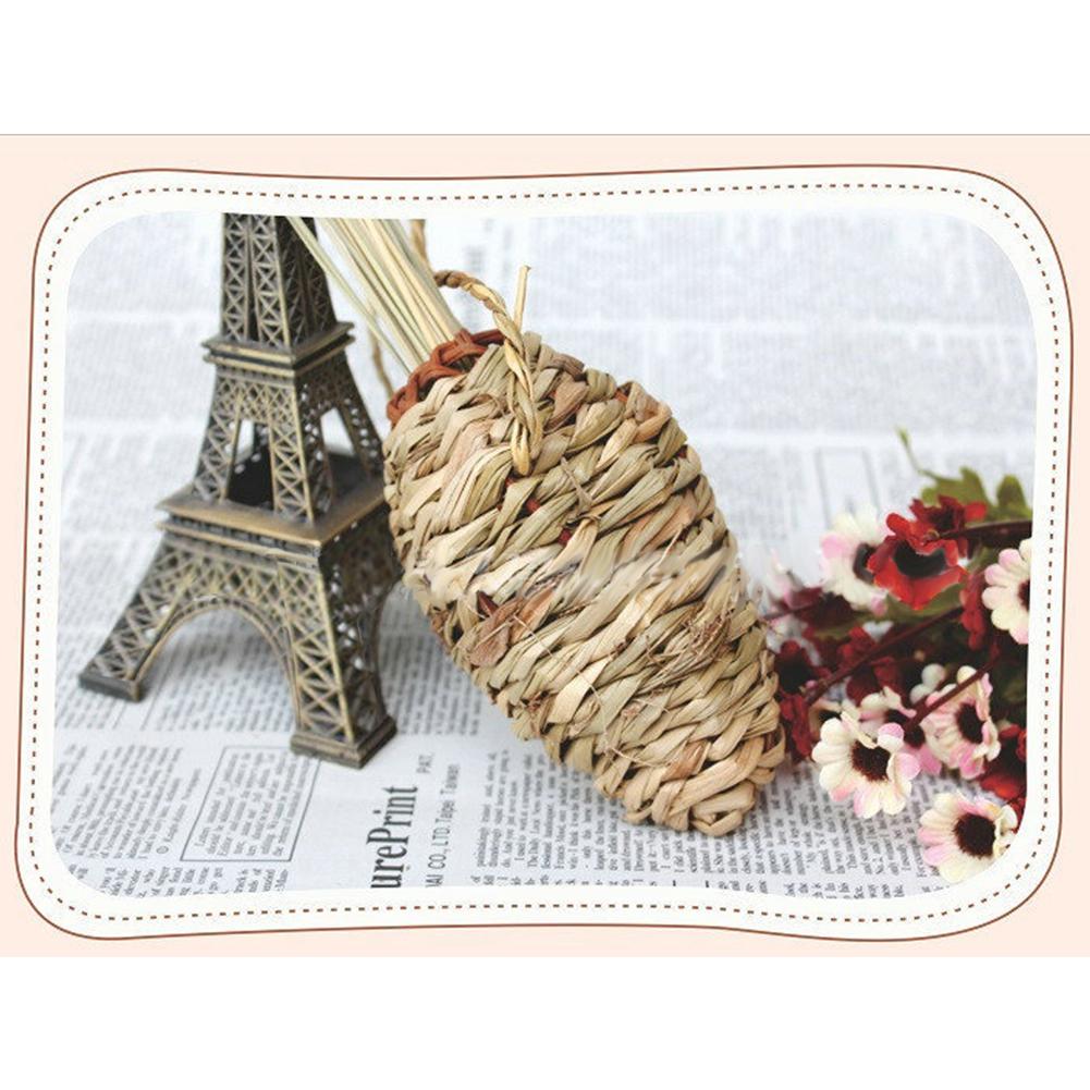 Lovely Grass Carrot Grinding Toy for Small Pets Hamster Squirrel Guinea Pig Rabbit