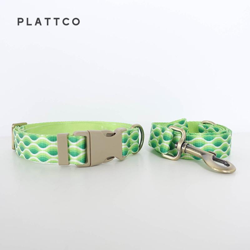 Plattco Heat Transfer Green Wave Collar & Leash Set PDC363 Small