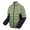 Regatta Mens Dalent Padded Jacket
