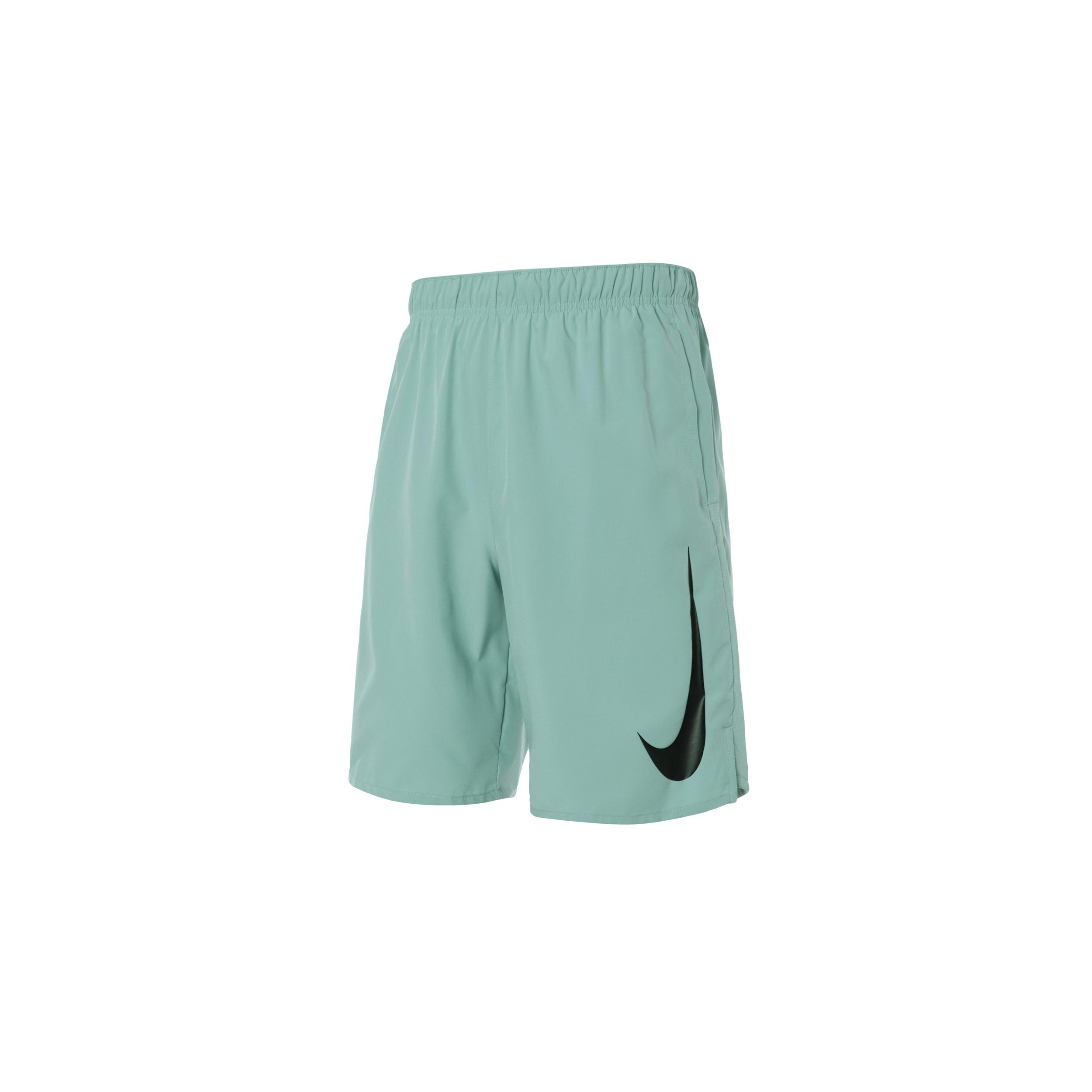 Повседневные шорты Nike мужские Mineral Moderate DX0905-309 M