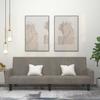 Vidaxl 2-Seater Sofa, Light Gray, Upholstered In Velvet