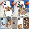 Cartoon-Tier Eichhörnchen Für Samsung Galaxy M16 M06 M12 M55 M15 M35 M14 M34 M54 M11 M21 M31 M13 M33 M53 M32 M52 Hülle