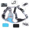 Astro Blue Training Harness For Walking Dogs, Size S
