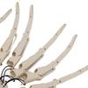 Halloween Knuckles Skeleton Hands Bone Claw Hands Outdoor Party Decoration Props