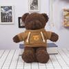 Cute Sweater Bear Plush Toy Doll Teddy Bear Doll Birthday Gift