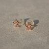 RookieStar 14k Mini Star Earrings R1rreg003