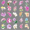 50 Phalaenopsis Graffiti Stickers Personalized Small Fresh Plant Flowers Decoration Mobile Phone Case Suitcase Stickers