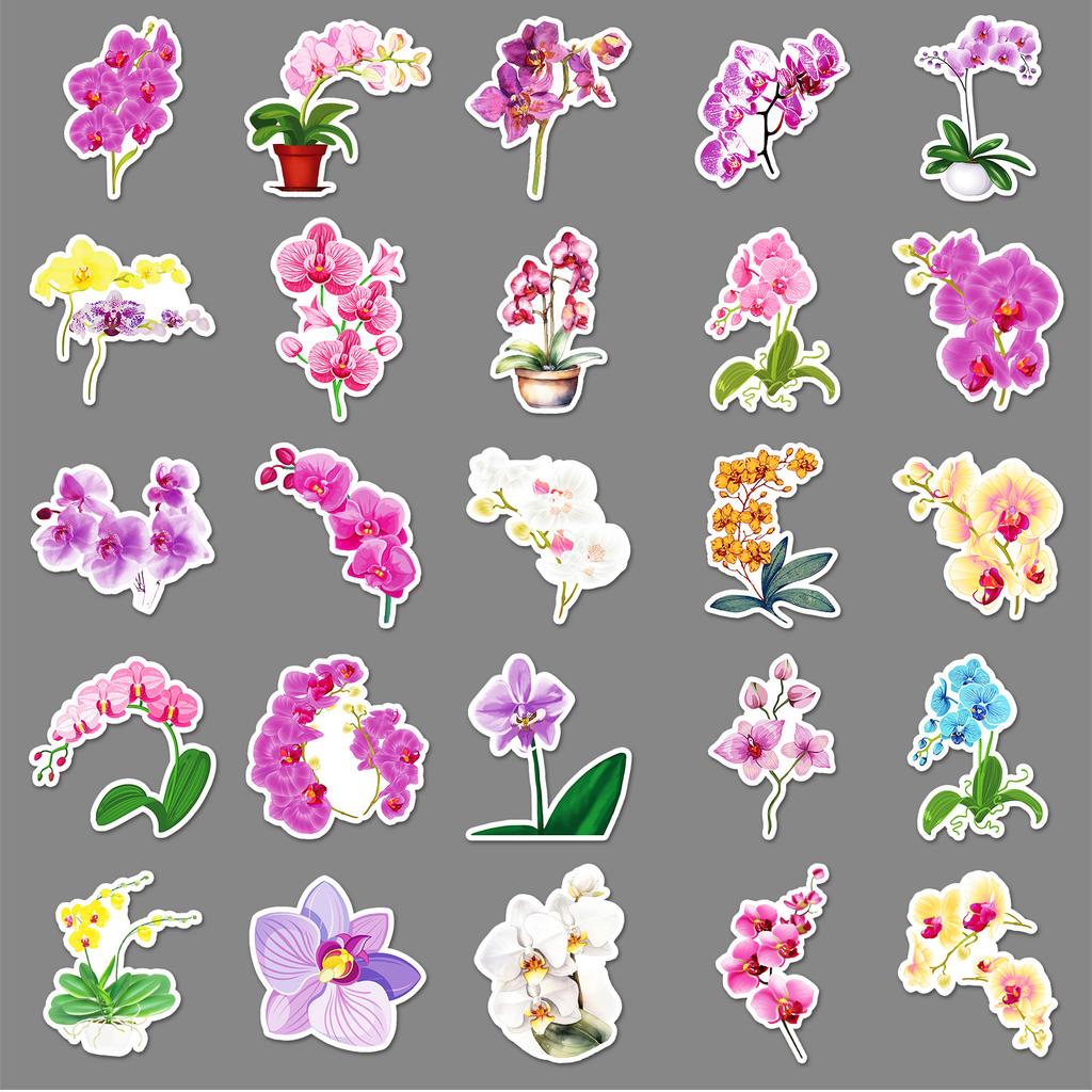 50 Phalaenopsis Graffiti Stickers Personalized Small Fresh Plant Flowers Decoration Mobile Phone Case Suitcase Stickers