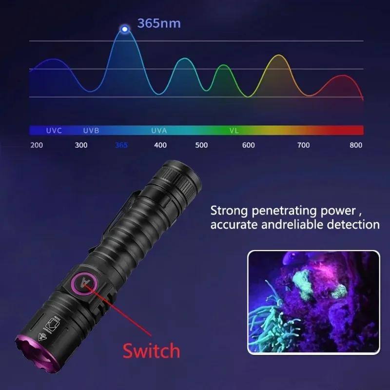 365/395nm UV Flashlight Zoom 5W Type C USB Rechargeable Black Light for Resin Curing, Pet Urine Detection, Scorpion with Battery