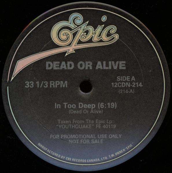 

LP Record DEAD OR ALIVE In Too Deep Lover Come Back To Me 12CDN214PROMO Epic 1985 Canada Dance Electronica Used