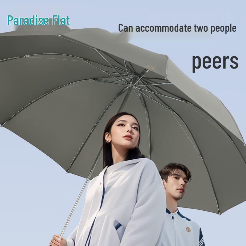 Heaven Windproof 10-Rib Three-Fold Business Umbrella
