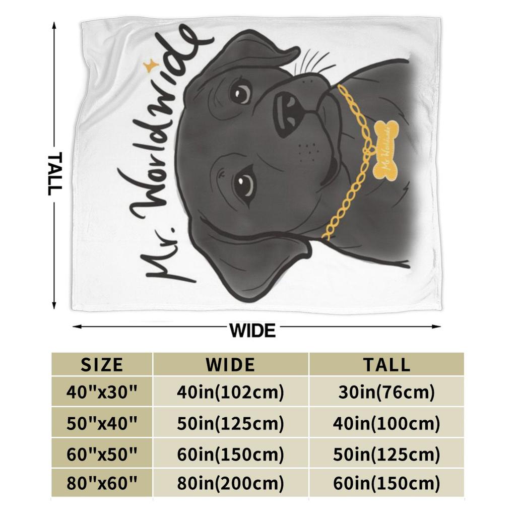 Mr Worldwide Himself Personalized Comfortable Gift An UltraSoft Micro Fleece Blanket