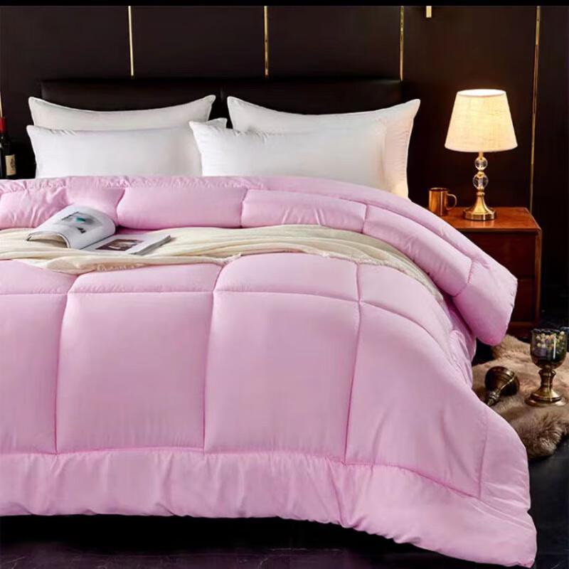 Nanjiren Soft Fiber Home Quilt