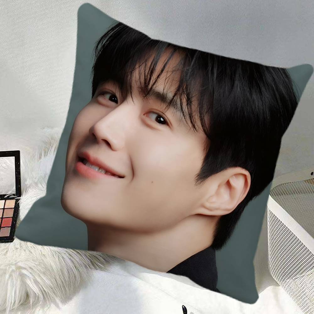 Kim Seonho Pillow Case Square Pillow Bedroom Sofa Leisure Comfort Cushion Car Home Decoration
