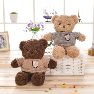 Teddy Bear Doll Plush Teddy Bear Hug Bear Rag Doll Girl Wedding Birthday Gift Female Throw Pillow