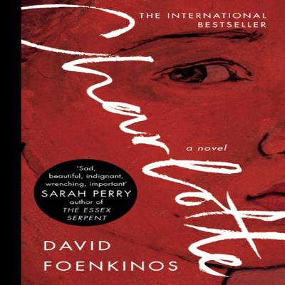 Charlotte by David Foenkinos Paperback Book 9781782117964