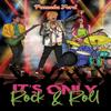 Its Only Rock Amp Roll by Pamela Ford Paperback Book 9781035832378