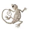 Halloween Decoration Mini Skeleton Bone Statues Poseable Rat Dog Spider Cat Owl Skeleton Figurine for Haunted House Party Decor