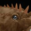 New Anglerfish Monkfish High Fidelity Plushie Lophius Americanus Plush Toys Lifelike Sea Animals Simulation Doll Toy Gifts Kids