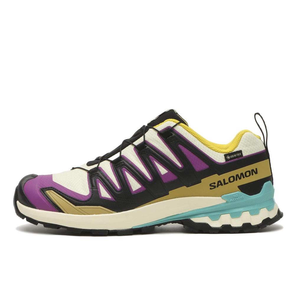 SALOMON Xa 3d V9 Gtx Transparent Yel L47881700