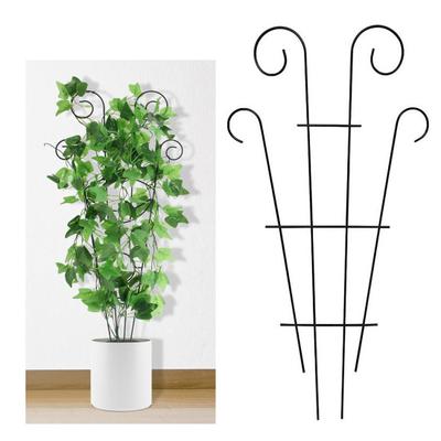 Indoor Potted Plants Support High Stability Rustproof Vertical Cultivation Simple Installation Metal Trellis Climbing Plant Holder