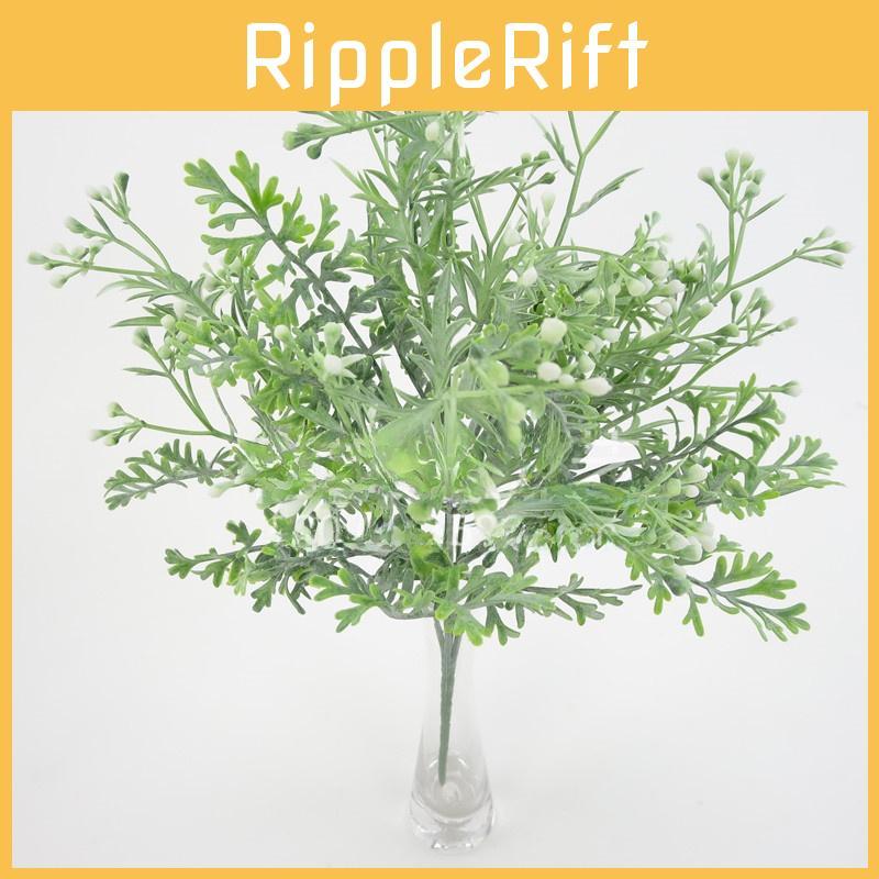 Blume Glossocardia Bidens Dekoration Für Zuhause Hochzeit Zubehör Veranstaltung