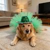 St. Patrick's Day Pet Hat & Set: Festive Green Cowboy Hat With /Crown Decor For Dogs & Cats
