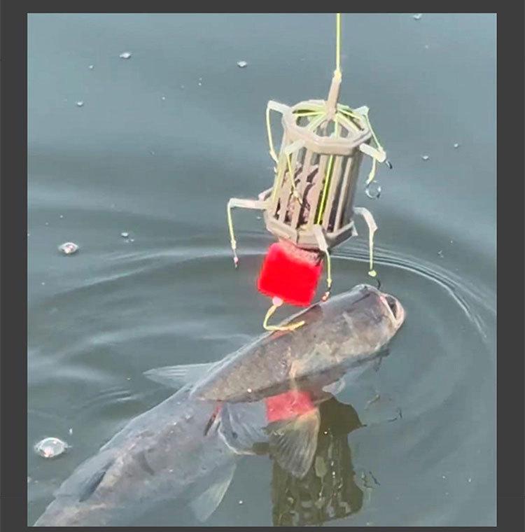 Silver Carp & Bighead Anti-Bottom Bait Cage Hook with Buoyant Flip-Plate for Grass Carp Bottom Fishing