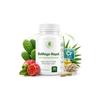 Non-mega Nopal and Chrome Picolinate Metabolism and Nutritional Balance Natural Plant-based Supplement Supports | 60 Capsules 1 pcs