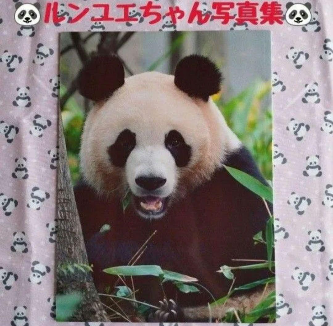 

[USED] Rare item! Panda Runyue photo book