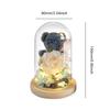 Rose Süßer Teddybär im Glas mit LED Niedlicher Bär Ewige Rose im Glas Konservierte Rosen Bären Geschenke für Freundin Liebhaber Geschenk