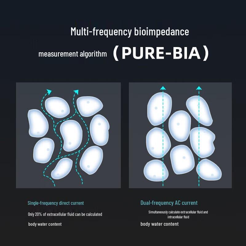 Yolanda CP10D Smart Wi-Fi 8-Electrode Body Composition Analyzer
