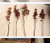 Wabi-Sabi Style Mountain Preserved Flower & Dried Branch Floor Ikebana Ornament