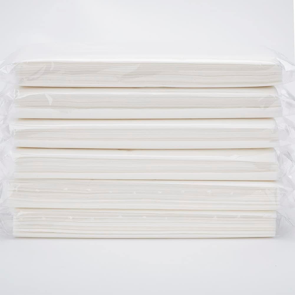 Cartisen Car Tissue Refills,Facial Napkin Refills For Car Visor Tissue Holder,300 Sheets, 6 Packs (6 Pack)