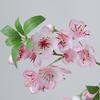 Plastic Silk Peach Blossoms Realistic Fake Flower  Wedding Birthday Party