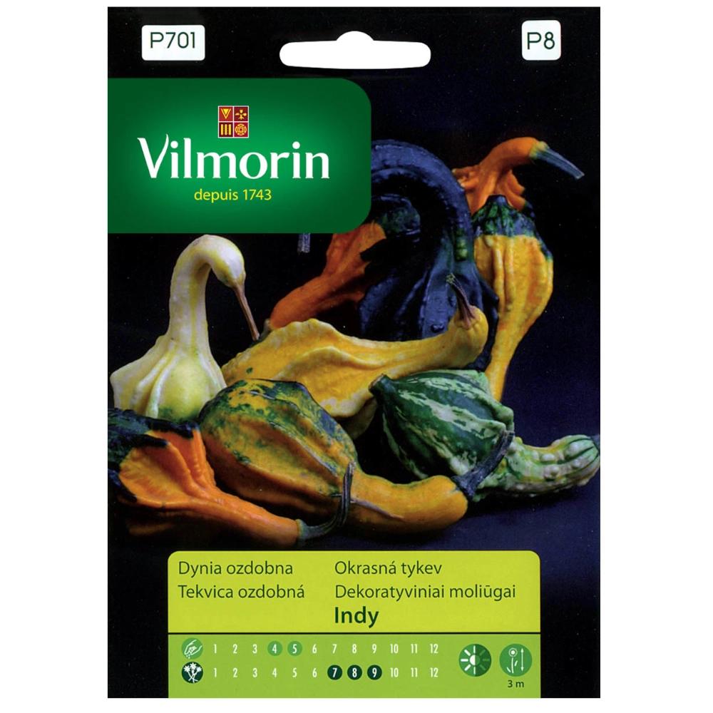 Indy Ornamental Pumpkin Seeds 1g - VILMORIN