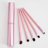 Five-Piece Makeup Brush Set: Eyeshadow, Concealer, Eyebrow, Lip, and Beauty Tools 