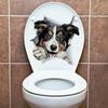 3D Vivid Dog Wall Hole Stickers For Toilet Bathroom Kids Rooms Decorations Home Decor Wall Refrigerator Car Mural Art Decals