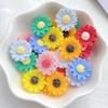 20Pcs Cute Mini Kawaii Cartoon Chrysanthemum Series Resin Scrapbook Diy Children Gift Hairpin Accessories