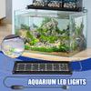 Pești și animale marine – Iluminare acvariu