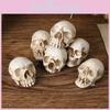 Halloweenowa Dekoracja Czaszki Miniaturowa Figurka Żywiczna Na Imprezę I Do Prezentów