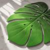5 Stück Eva Monstera Blatt Platzsets 15,35 x 18,11 Zoll Rutschfest Rutschfest Tischsets Hitzebeständig Hitzebeständig Platzsets