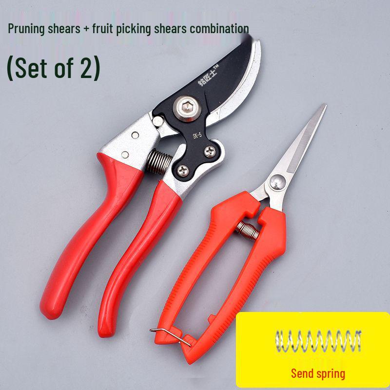 Hochleistungs-Astschere für Bäume und Blumen