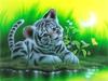 5d Diamond Painting Pes DIY Mozaika Zvíře Plný Kulatý Čtverec Diamantové vyšívání Křížkový steh Kamínky Obrázky Nástěnné umění