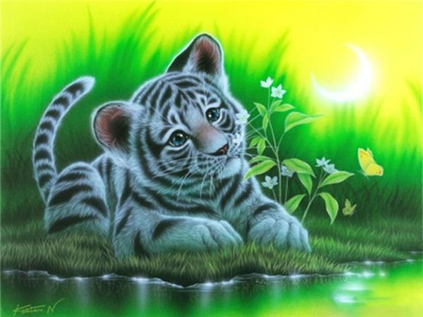 5d Diamond Painting Pes DIY Mozaika Zvíře Plný Kulatý Čtverec Diamantové vyšívání Křížkový steh Kamínky Obrázky Nástěnné umění