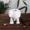 1pc Novel Ceramic Flower Potted Succulent Plant Wear-resistant Pot Creative Table Top Plant Display Pot Table Top Decoration
