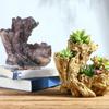 Resin Succulent Flowerpot Imitation Tree Root Shape Suitable for Creative Indoor Outdoor Arrangements and Artistic Charm