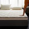 WTEMPO Lamb Wool School Dormitory Bed Mattress Pad Foldable High Quality Soft Mattress Winter Thickened Plush Bedroom Bed Sheet Tatami Plush Pad