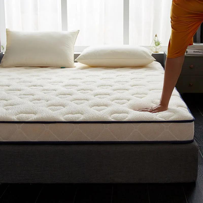 WTEMPO Lamb Wool School Dormitory Bed Mattress Pad Foldable High Quality Soft Mattress Winter Thickened Plush Bedroom Bed Sheet Tatami Plush Pad